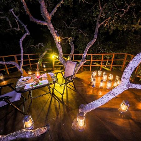 Tribe Yala - Luxury Camping Exterior foto