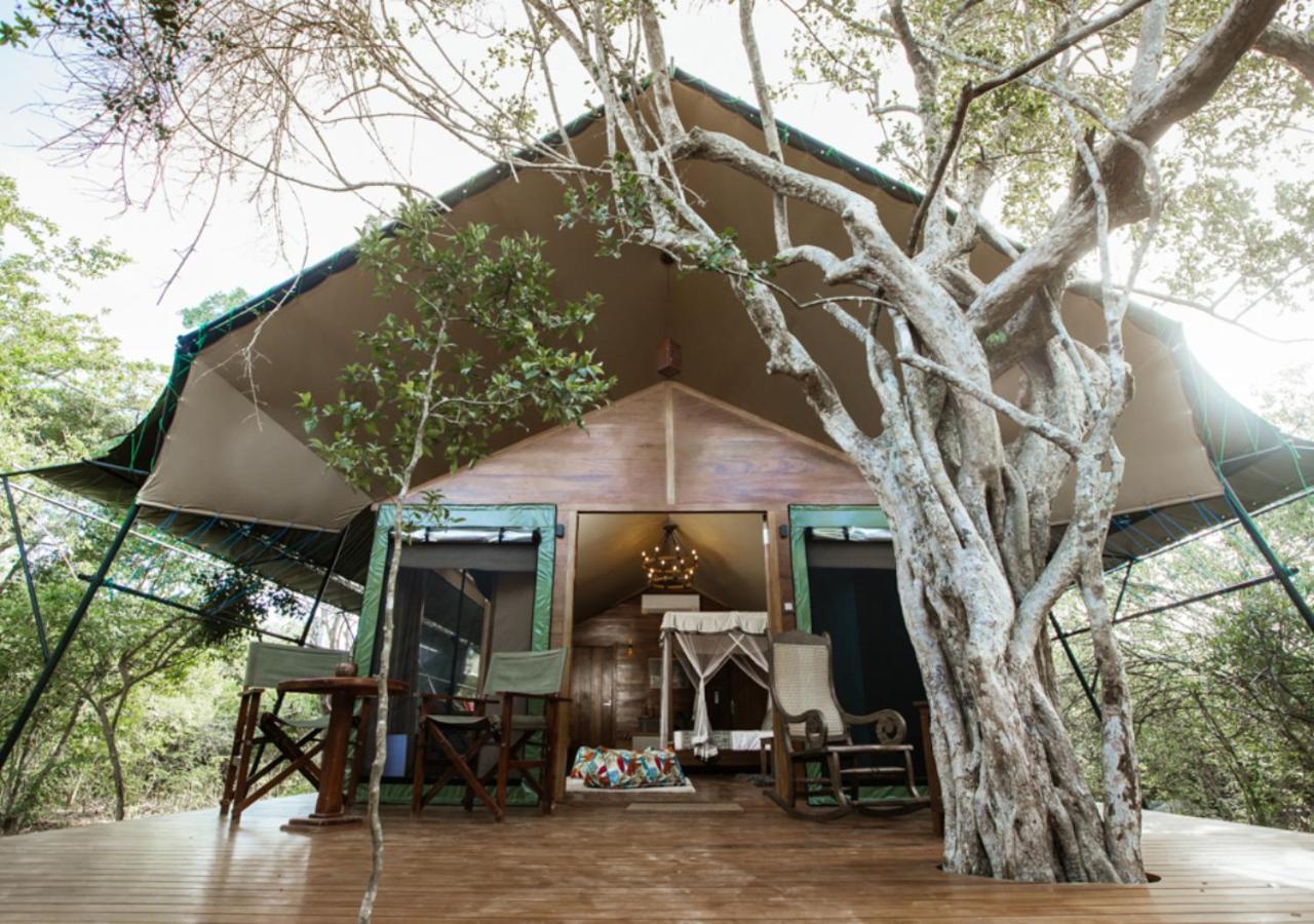 Tribe Yala - Luxury Camping Exterior foto