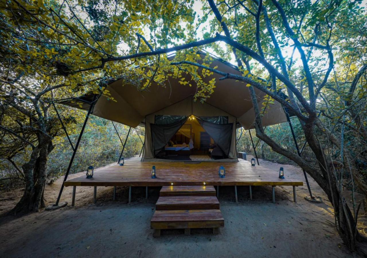 Tribe Yala - Luxury Camping Exterior foto